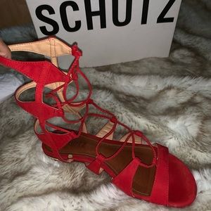 Schutz Gladiator